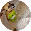 Čistenie striech 27 - IVET čistiaci servis Jozef B. profile picture