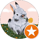 Čistenie striech 37 - IVET čistiaci servis Sladke K. profile picture